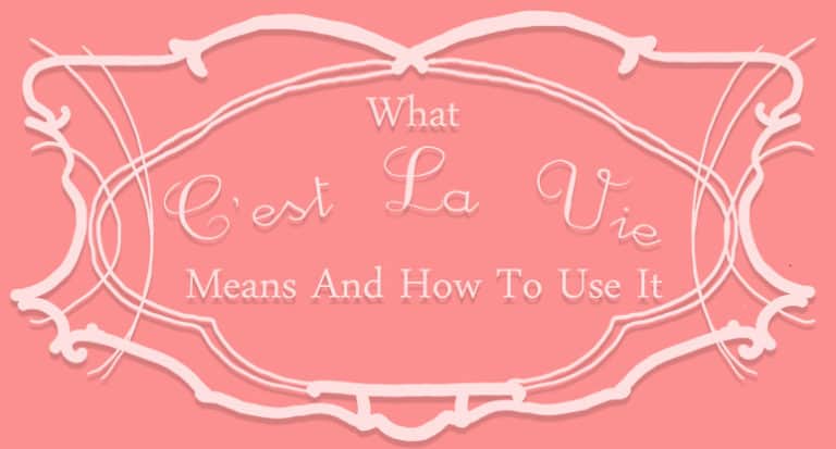 what-c-est-la-vie-means-and-how-to-use-it-complete-guide