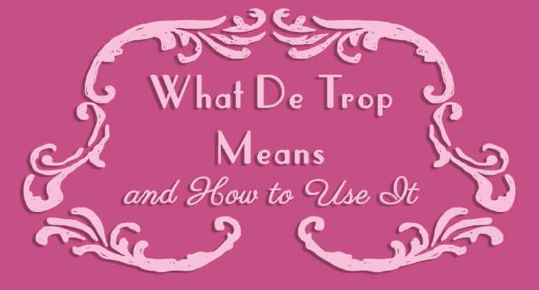 what-de-trop-means-and-how-to-use-it-frenchplanations